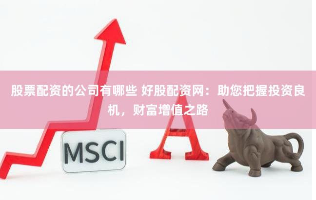 股票配资的公司有哪些 好股配资网：助您把握投资良机，财富增值之路